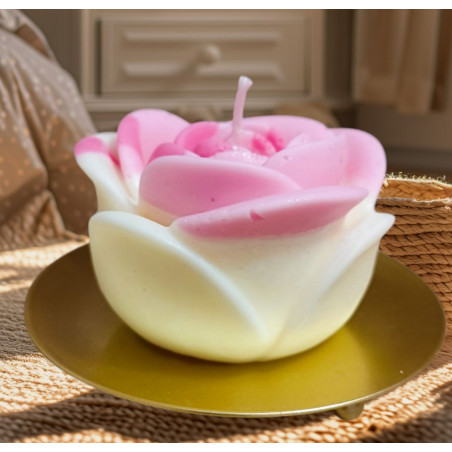 Rose éternelle