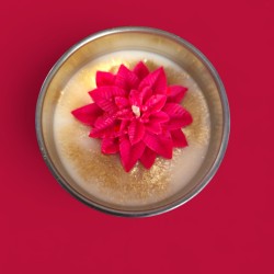 Bougie de Noël , Fleur de Noël