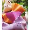 Fondants du monde